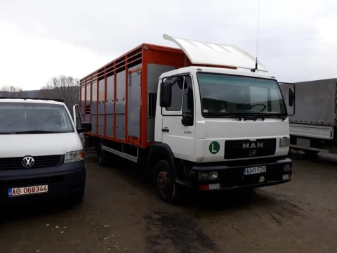 Ofer transport animale vii
